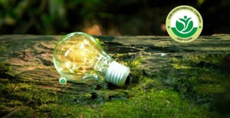 Building for the Future How Environmental Consulting Shapes Sustainable Success