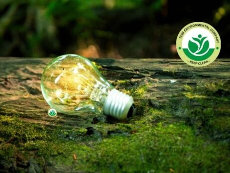 Building for the Future How Environmental Consulting Shapes Sustainable Success