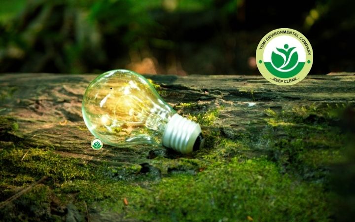 Building for the Future How Environmental Consulting Shapes Sustainable Success