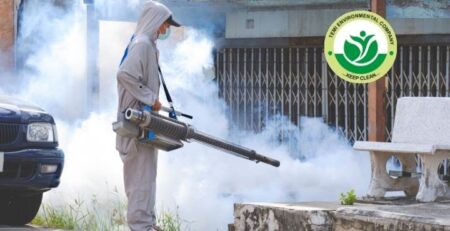 The Hidden Dangers Lurking in Your Home Why Professional Fumigation Is not Optional