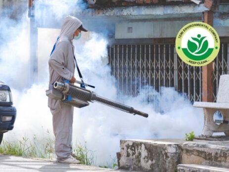 The Hidden Dangers Lurking in Your Home Why Professional Fumigation Is not Optional