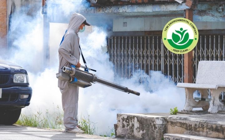 The Hidden Dangers Lurking in Your Home Why Professional Fumigation Is not Optional